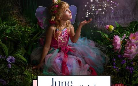 Fairy Day 